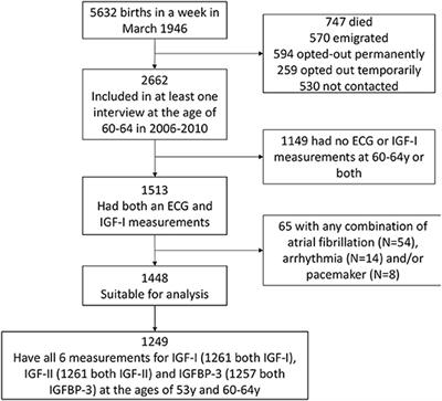 Declining Levels and Bioavailability of IGF-I in Cardiovascular Aging Associate With QT Prolongation–Results From the 1946 British Birth Cohort